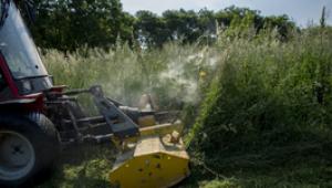 A virágpor miatt rosszabb lehet a koronavírus-járvány