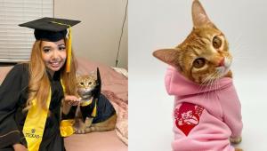 Macskájával közösen diplomázott egy lány, miután az állat minden online óráján részt vett vele