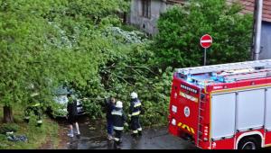 Fákat döntött ki a vihar Egerben