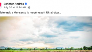 Nem vásároltak amerikai multik akkora földet Ukrajnában, mint Olaszország teljes termőterülete