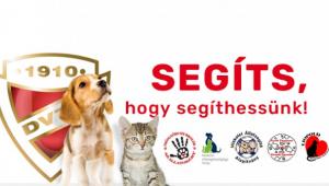 Állatok Világnapja: ismét segít a DVTK