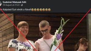 Egy rózsaszín ruhába öltözött férfiról terjesztik, hogy az észt elnök fia, csakhogy ez nem igaz