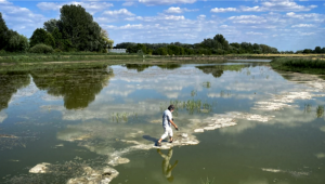 Uniós pénzeső a magyar félsivatagra: Homokhátság, a záportározó-nagyhatalom