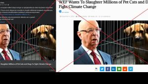 Nem, Klaus Schwab nem szólította fel a világ kutya- és macskatulajdonosait, hogy öljék meg az állataikat 