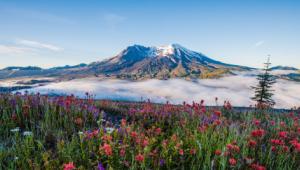 Földcsuszamlás sodort el egy hidat a Mount Saint Helens vulkánon