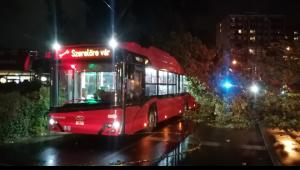 Trolira dőlt fa az esti viharban Budapesten