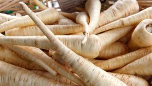 Természetes vízhajtó, és rengeteg benne a C-vitamin - Ezért érdemes beiktatni az étrendedbe a pasztinákot