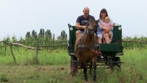 Városból vidékre – önellátó családoknál jártunk; Domóci tanya