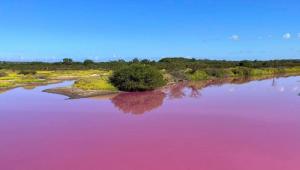 Rózsaszínűvé vált egy tó Hawaii-in