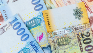 Sikkasztás miatt letartóztattak egy baranyai önkormányzati dolgozót