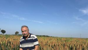 Mindig is érdekelt, miket lájkol Instagramon Nagy István agrárminiszter?