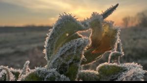 -16,5 fokos fagy volt szerda hajnalban a Bükk-fennsíkon