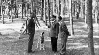 Adolf Hitler 119 napot töltött luxusbunkerében egy ukrajnai erdő mélyén
