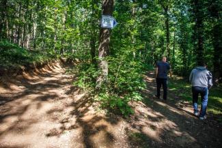 Czeglédy Csaba nyílt levélben kéri a szombathelyi polgármestert, hogy álljon ki az erdők védelméért