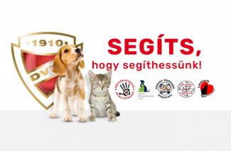 Állatok Világnapja: ismét segít a DVTK