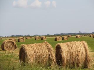 Kopogtatnak a rendkívüli kamattámogatott agrárhitelek