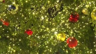 Megint áll a bál a római karácsonyfa körül