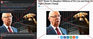 Nem, Klaus Schwab nem szólította fel a világ kutya- és macskatulajdonosait, hogy öljék meg az állataikat 