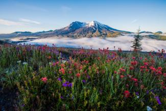 Földcsuszamlás sodort el egy hidat a Mount Saint Helens vulkánon