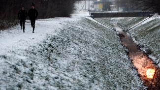 Ugyanazok a cégek nyerik a zöldterület-gondozásra kiírt tendereket a fővárosi kerületek felében