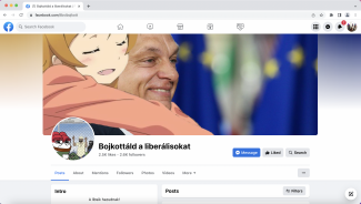 Belülről láttam, hogy működnek a fideszes troll oldalak