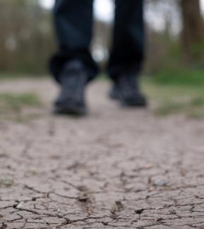 Az EL Nino élelmezési válságot szabadíthat el idén