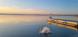 Eresztenek a Balaton vizéből