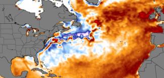 Rekordmeleg az Atlanti-óceán északi részének vize 