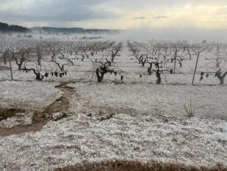 22 000 hektáron pusztult a termés Valenciában a jégveréses vihar nyomán a hétvégén