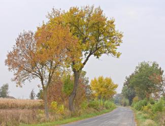 Csapadékos, szeles