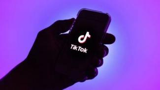 Feltörtek egy rakás népszerű TikTok-fiókot, de a fejlesztők elvileg megoldották a problémát