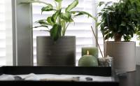 3 Feng Shui titok, amely gazdagságot hozhat az otthonodba