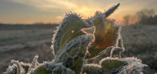 -16,5 fokos fagy volt szerda hajnalban a Bükk-fennsíkon