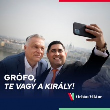 Te vagy a király!